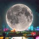 Fantasy Moon Forest VJ Loop Motion Background - VideoHive Item for Sale
