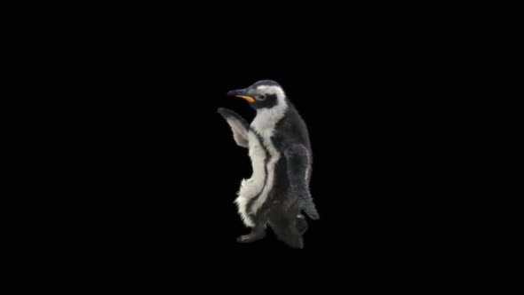 Penguin Dancing HD alt