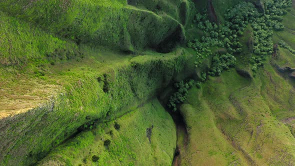 Unusual Looking Tropical Vegetation Covering Rocky Walls of the Cavity. Aerial Shot alt