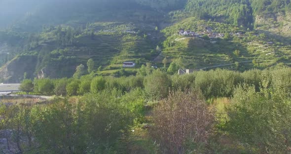 Apple Orchards in Himalayan Village Uttarakhand India