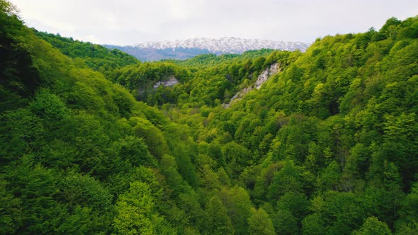 Magnificent View of Okatse Canyon From Drone Georgia Europe alt
