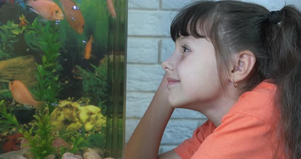 Have fun by aquarium.  alt