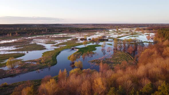 Flying from forest to flooded valley of the river in spring