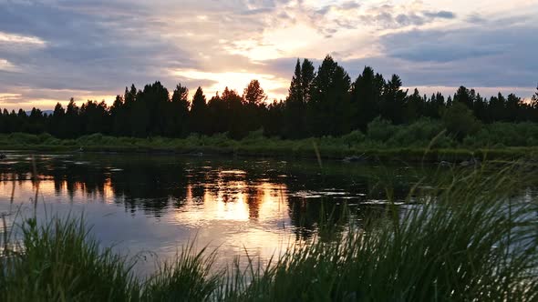 Relaxing view by the Madison River at sunset looking through the grass alt