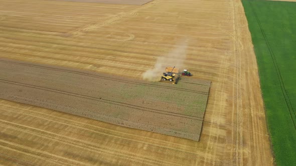 Harvester Harvests Wheat Crop On Field alt