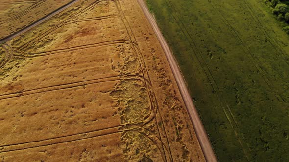 Aerial Cinematic Clip Drone Flying Over Wheat Field After Strong Hurricane