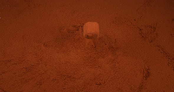 Chocolate Truffle falling on Chocolate Powder, slow motion 4K alt