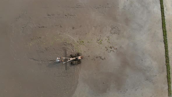Aerial Shot of Farmers Doing Plowing the Field with Preparing It for Rice Plantation alt