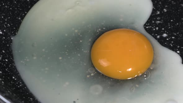 Fast-paced process of frying an egg 