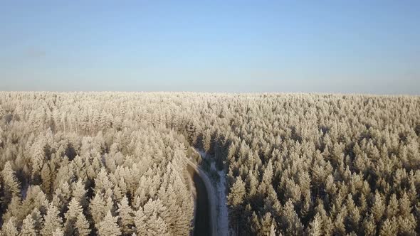 Winter Forest Road