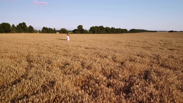 Slow-mo video of a young beautiful girl walking in the field of wheat