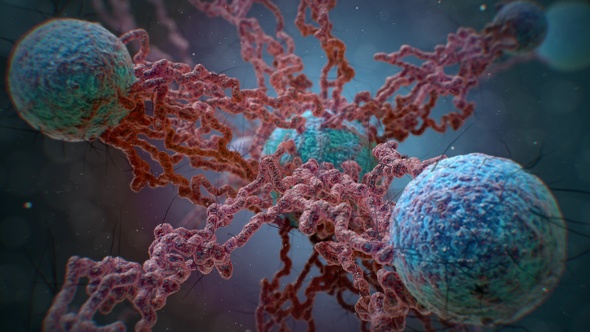 Cancer Cell Growth II Shot 02, Motion Graphics | VideoHive