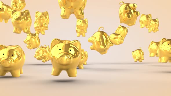 Pig - Piggy Bank