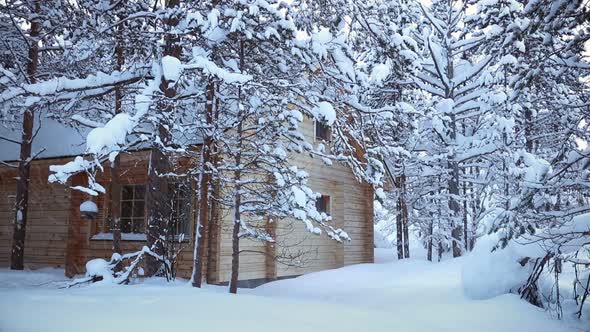 House in the Forest and Snowfall