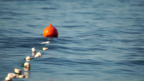 Orange Safety Buoys on a Rope Floating in the Sea on a Sunny Day Close Up alt