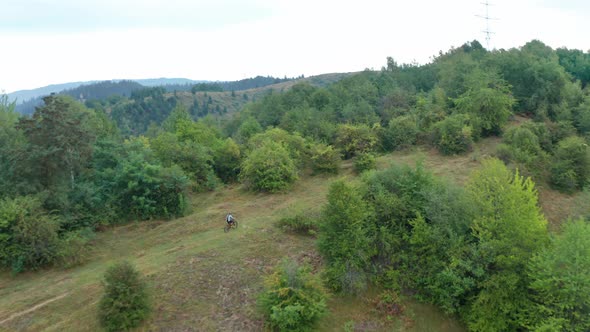 Mountain biker descending hill on a trail with an e-bike along forest, action scene. alt