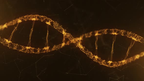 DNA Plexus