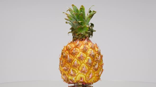 Closeup of Rotating Ripe Pineapple on Light Grey Background Making a Cocktail of Fruits or Berries alt