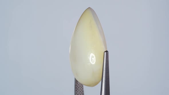 Natural Opal Gemstone in the Tweezer on the Background