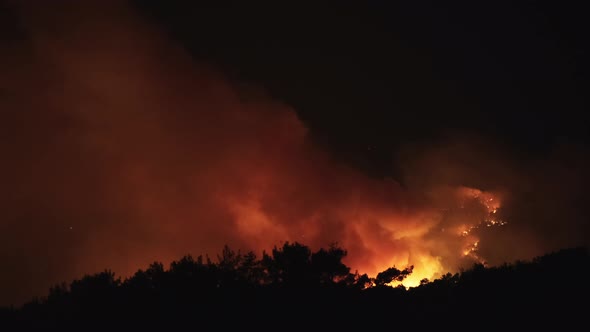 Global Warming, Forest Fire alt