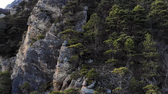 Aerial View of a Rocky Wall in the Mountains Covered with Juniper alt