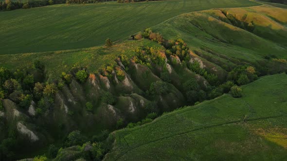 flying over the embossed field