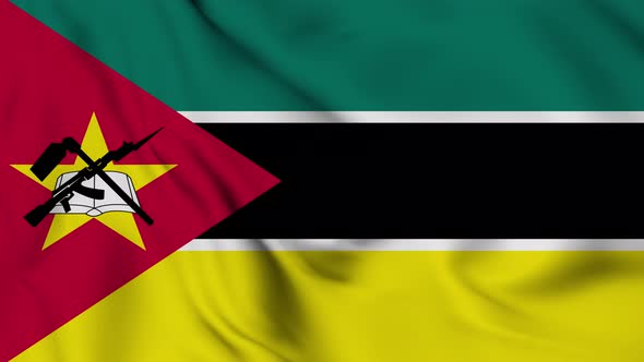 Mozambique flag seamless waving