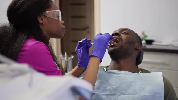 Dental and Healthcare Concept alt