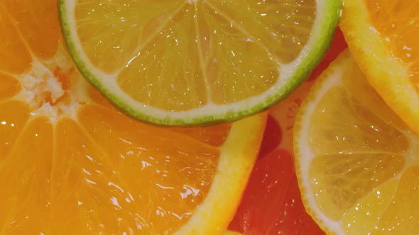 Macro Citrus Fruit Slices Orange Grapefruit Lemon Lime on Rotating Surface