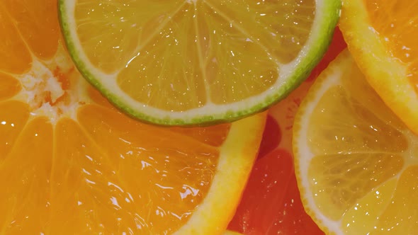 Macro Citrus Fruit Slices Orange Grapefruit Lemon Lime on Rotating Surface alt