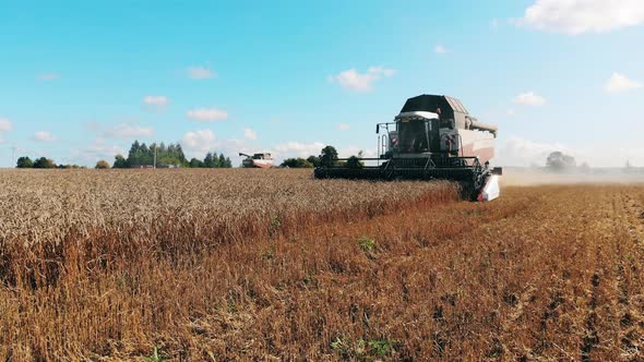 Wheat Is Getting Cut and Processed By the Combines alt