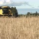 Harvester Combine Working on Field - VideoHive Item for Sale