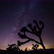 The Milky Way and Joshua Tree - VideoHive Item for Sale