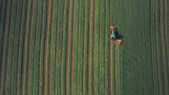 Farming and ploughing fields in spring with tractor. Top down aerial drone view alt
