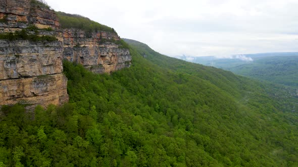 Mountains in the forest alt