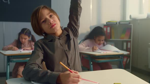 Boy Raising Hand During Lesson at Elementary School alt