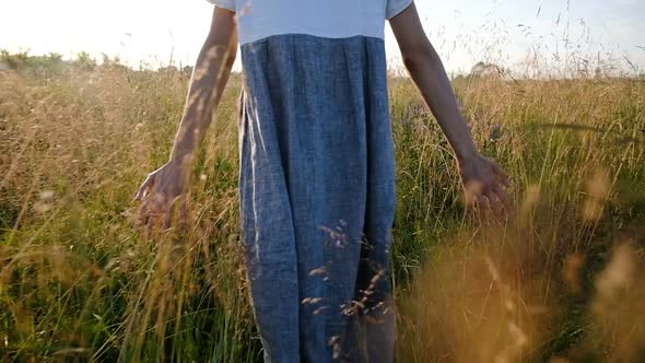 Woman in a Long Dress Is Walking in a Field with Tall Grass at Sunset. Slow Motion, Camera Movement alt