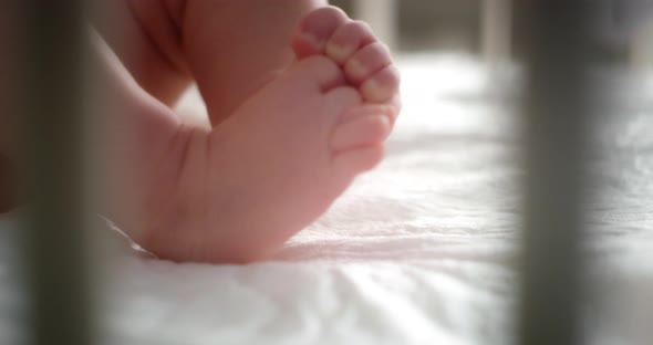 Close Up of Baby Legs of a Newborn Lying on His Back in a Child Crib