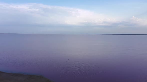 The shore of a beautiful pink lake.