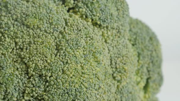 Tilting over Brassica oleracea broccoli floret close-up 4K footage alt