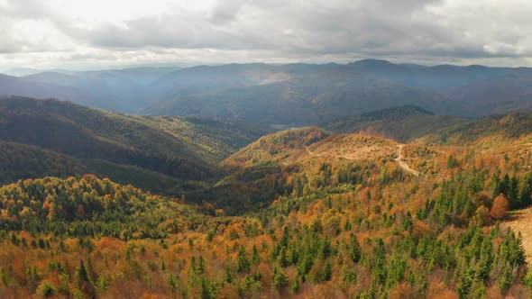 Beautiful Autmn Forest Shining at Sunset, Flying Above Colorful Mountain Flora alt