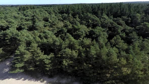 Flying over a pine forest in a sand dune area. alt