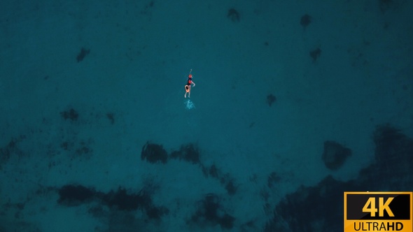 Aerial Of Lonely Swimmer