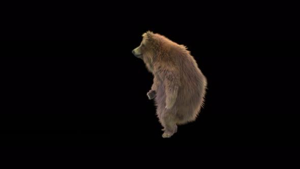 175 Bear Orc Walk 4K alt