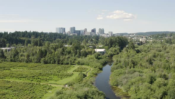 Bellevue Washington Aerial Rising Above Mercer Slough Blueberry Farm And Urban Skyline alt