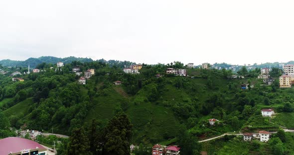 Tea Terrace And Village Aerial View