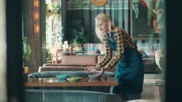 Smiling Waitress is Serving a Meal and Checking Dishes alt