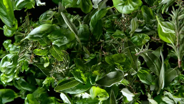 Super Slow Motion Shot of Flying Tasty Green Herbs Isolated on Black Background at 1000 Fps alt