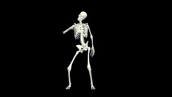 Skeleton Hip Hop Dancing