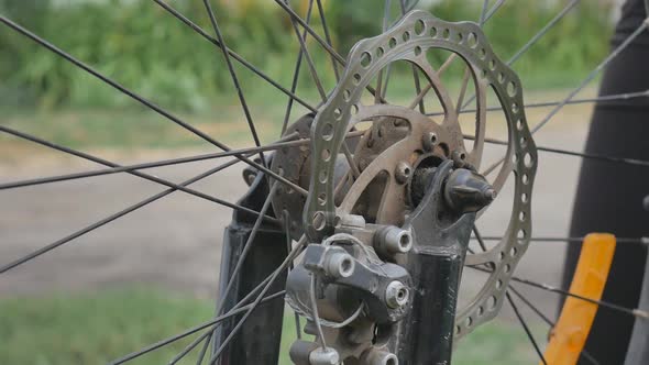 The Girl Broke the Wheel of the Bike. Bicycle Repair. The Cyclist Is Repairing the Bicycle. Hole in